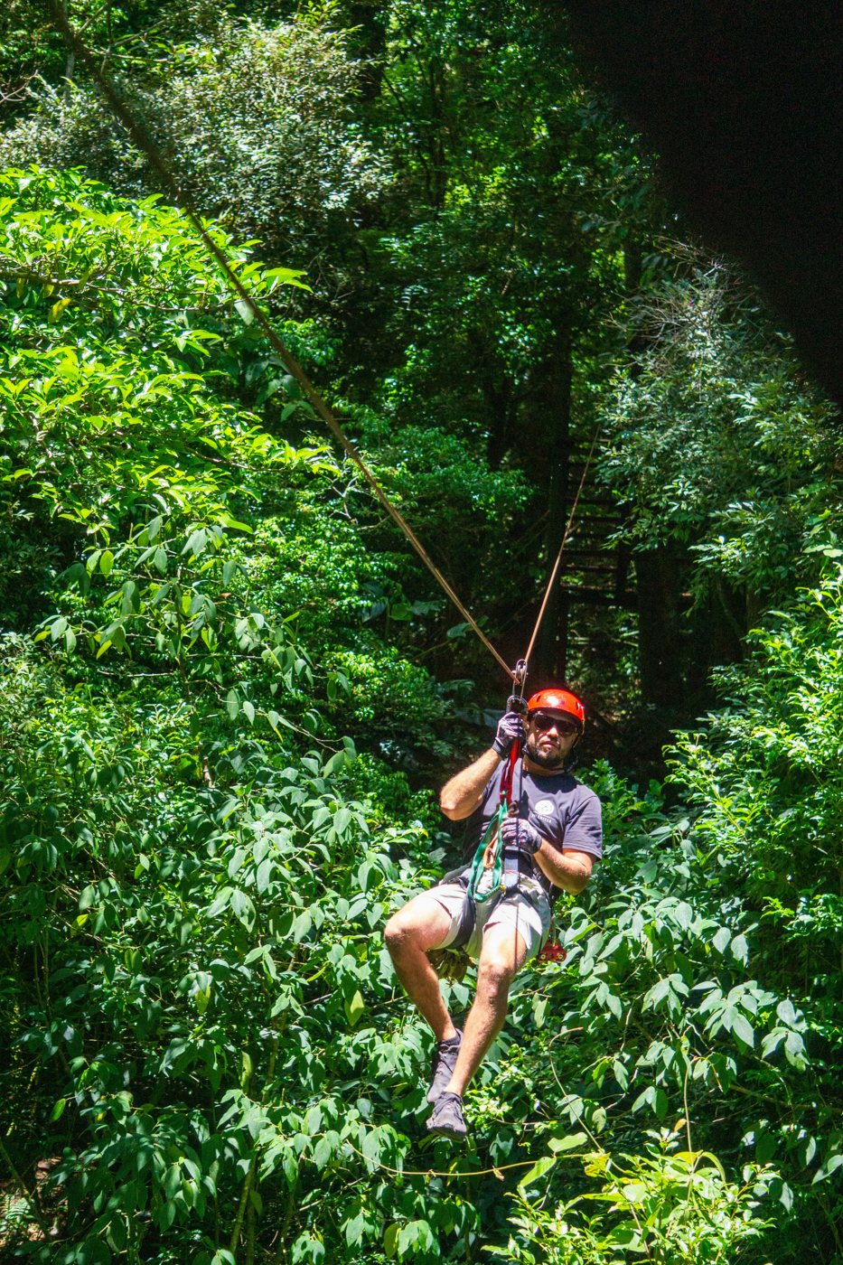 A zipline journey through a lush green forest