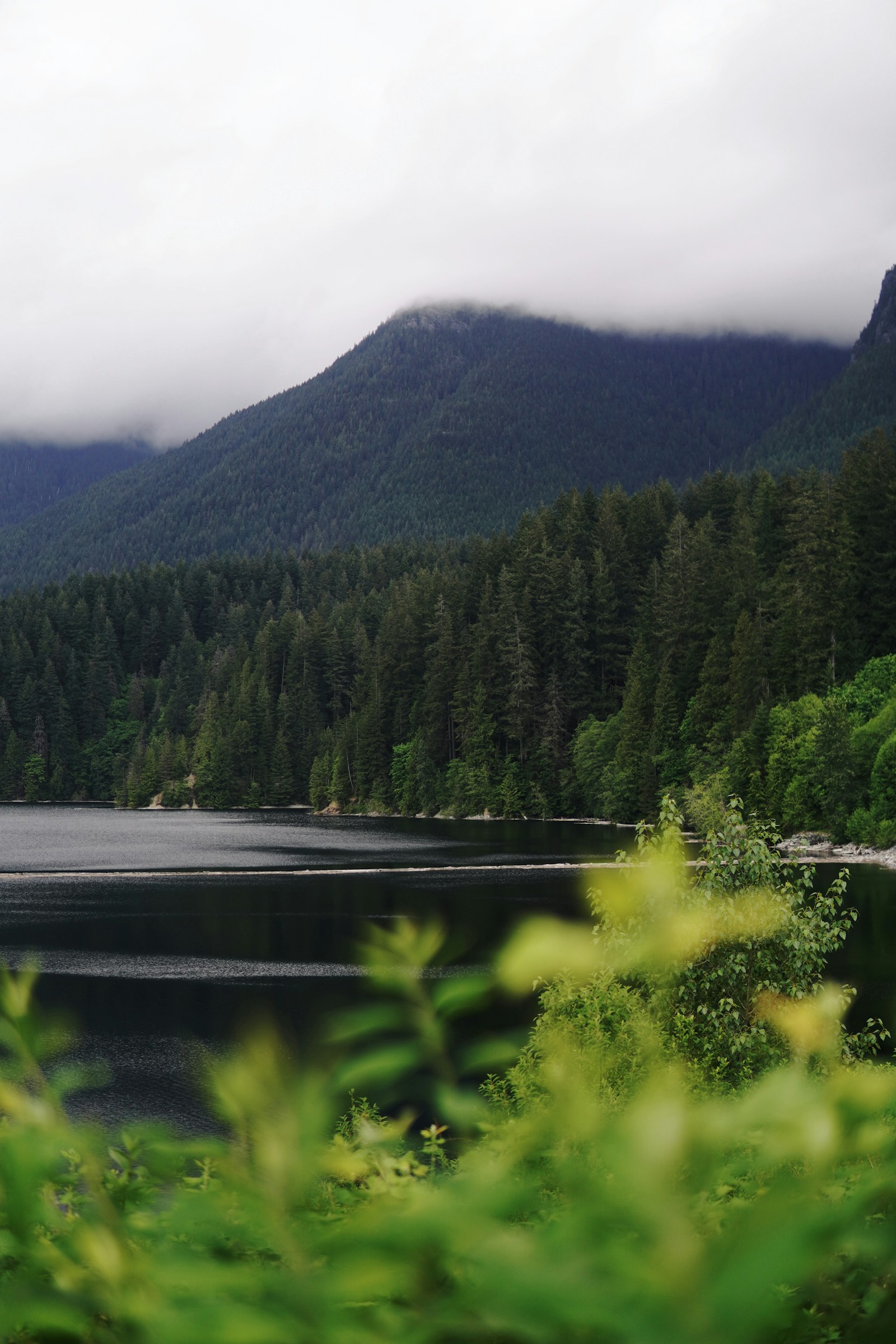 A secluded forest lake under low mountain cloud