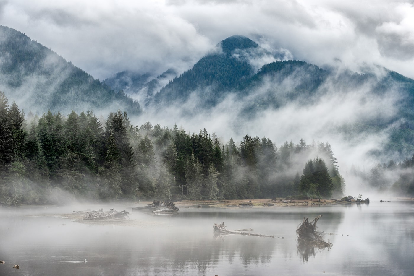 Clouds drifting through Vancouver Island’s forested coastal mountains