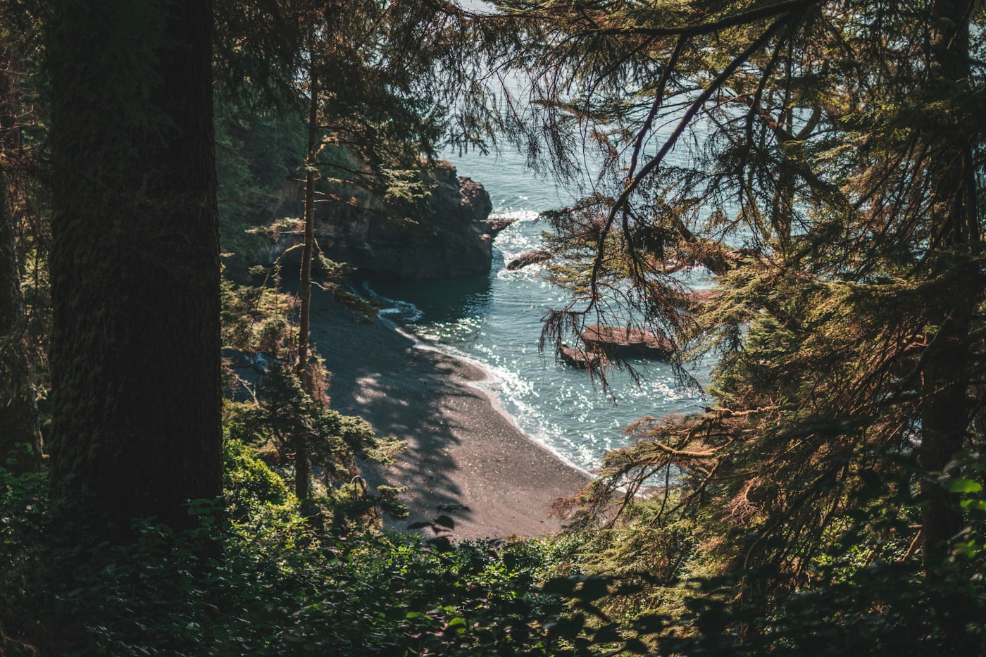 Rugged shoreline on the west coast of Vancouver Island