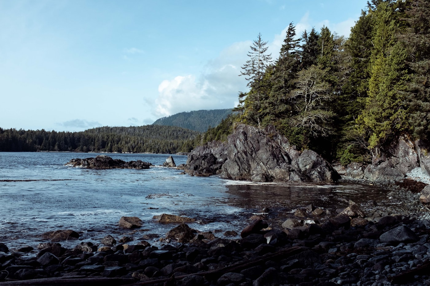 Vancouver Island community and coastal character