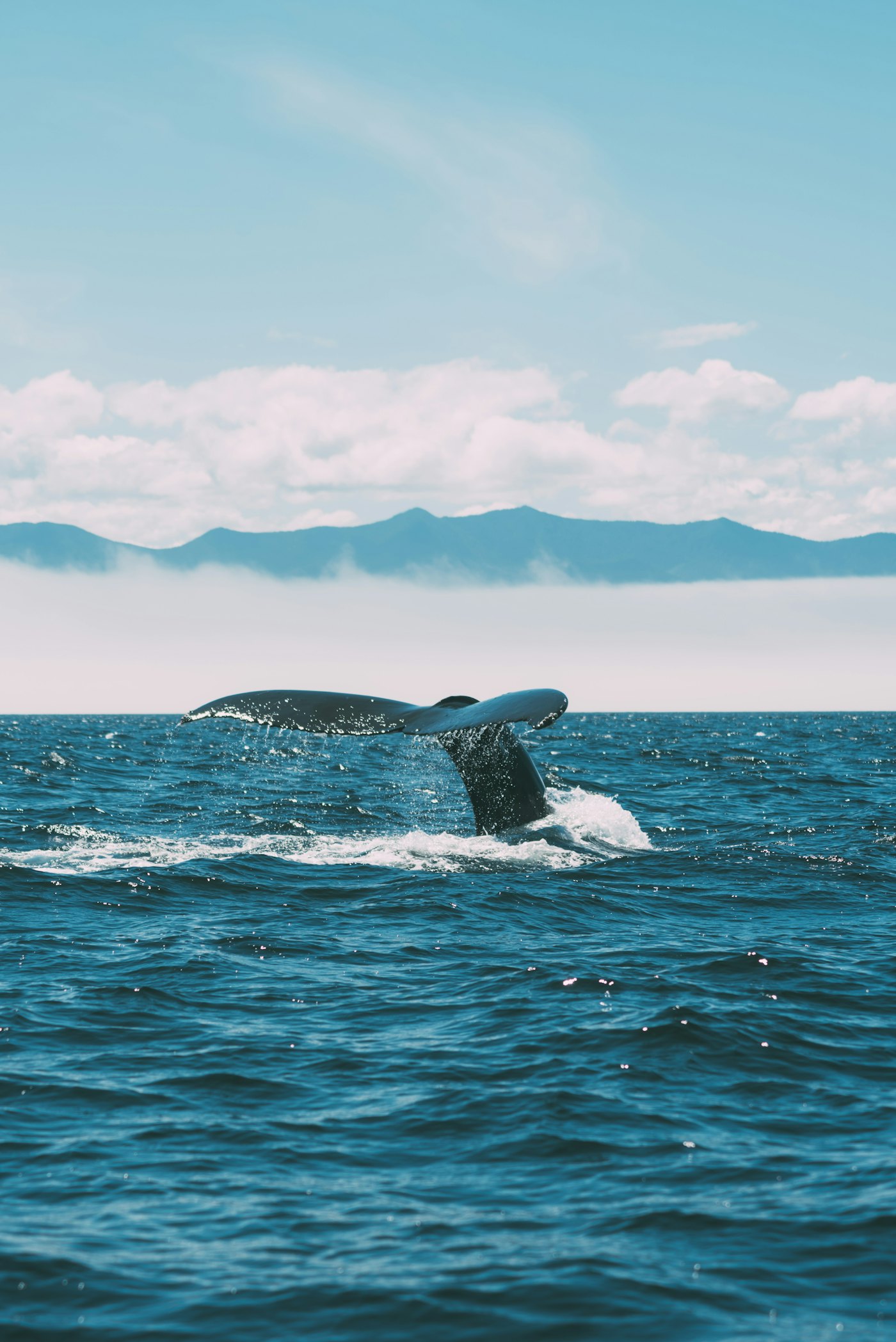 The textures and atmosphere of the Pacific coast
