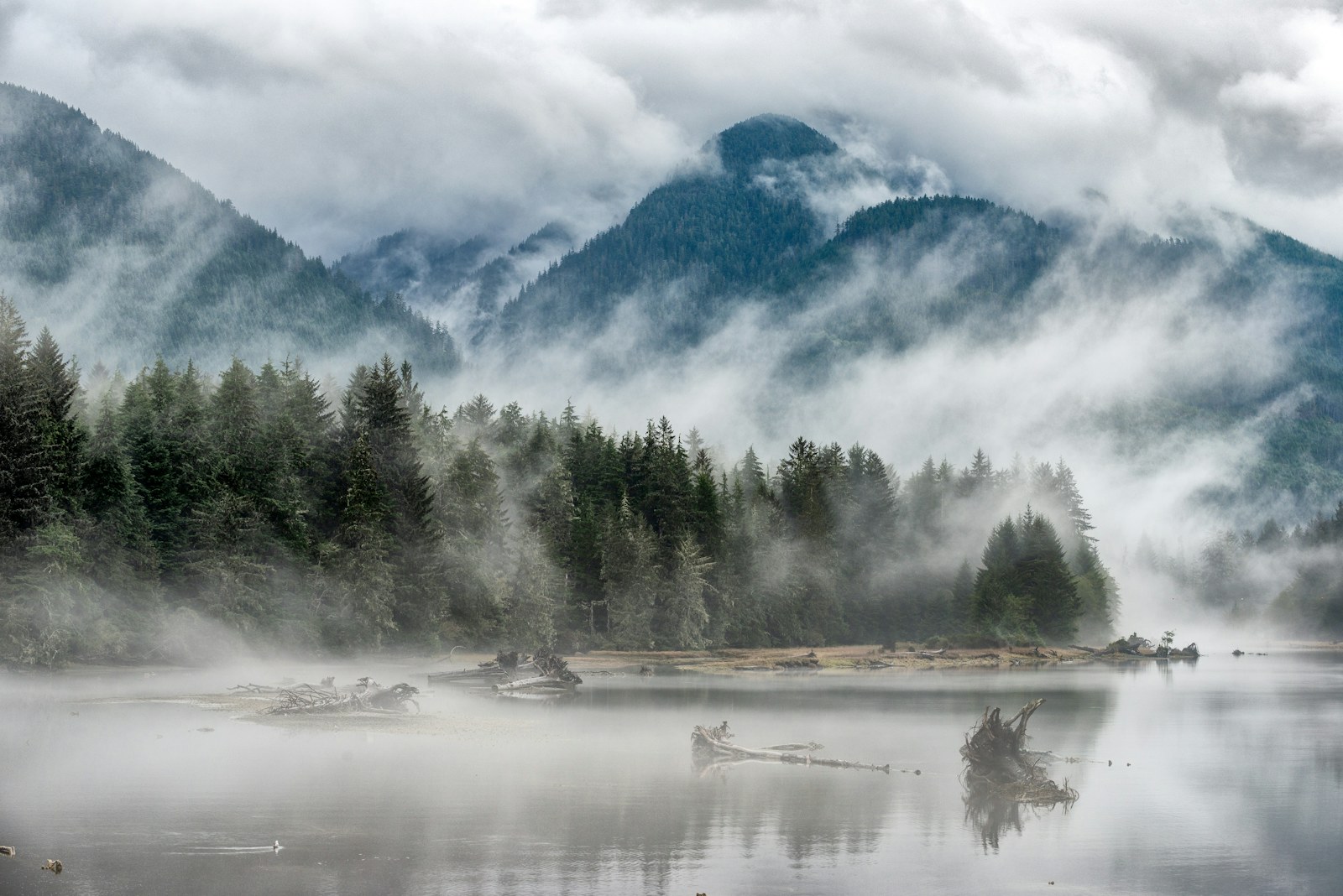 Misty forested mountains beside calm coastal water