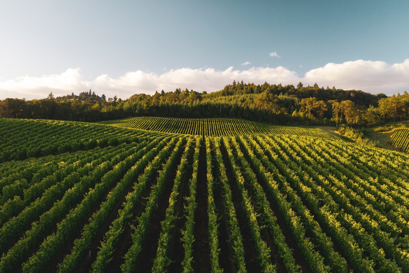 Open-air experience in the Okanagan Valley