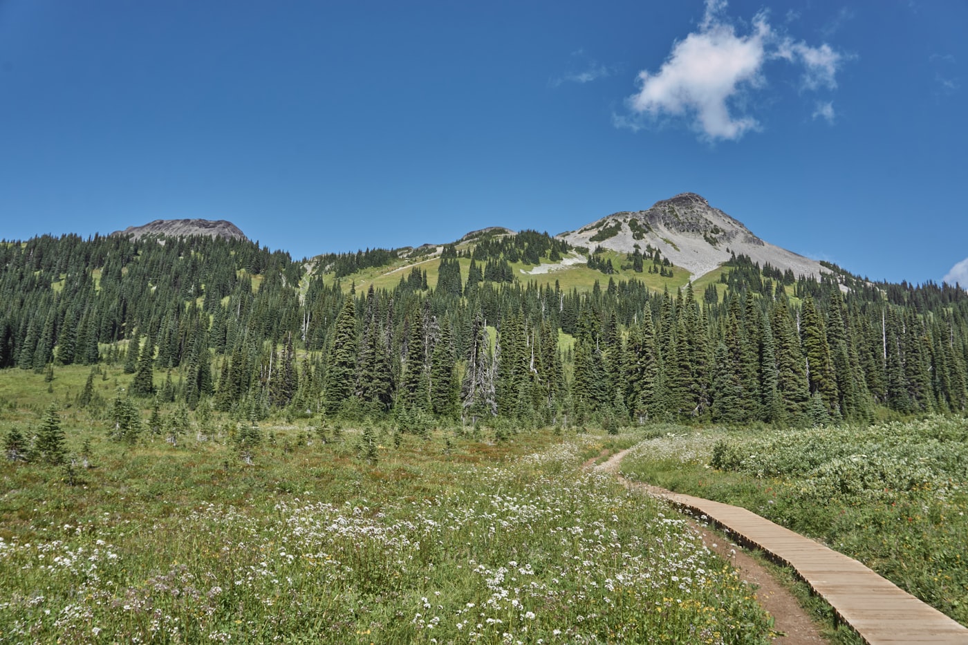 Snow-covered mountain country in the British Columbia interior