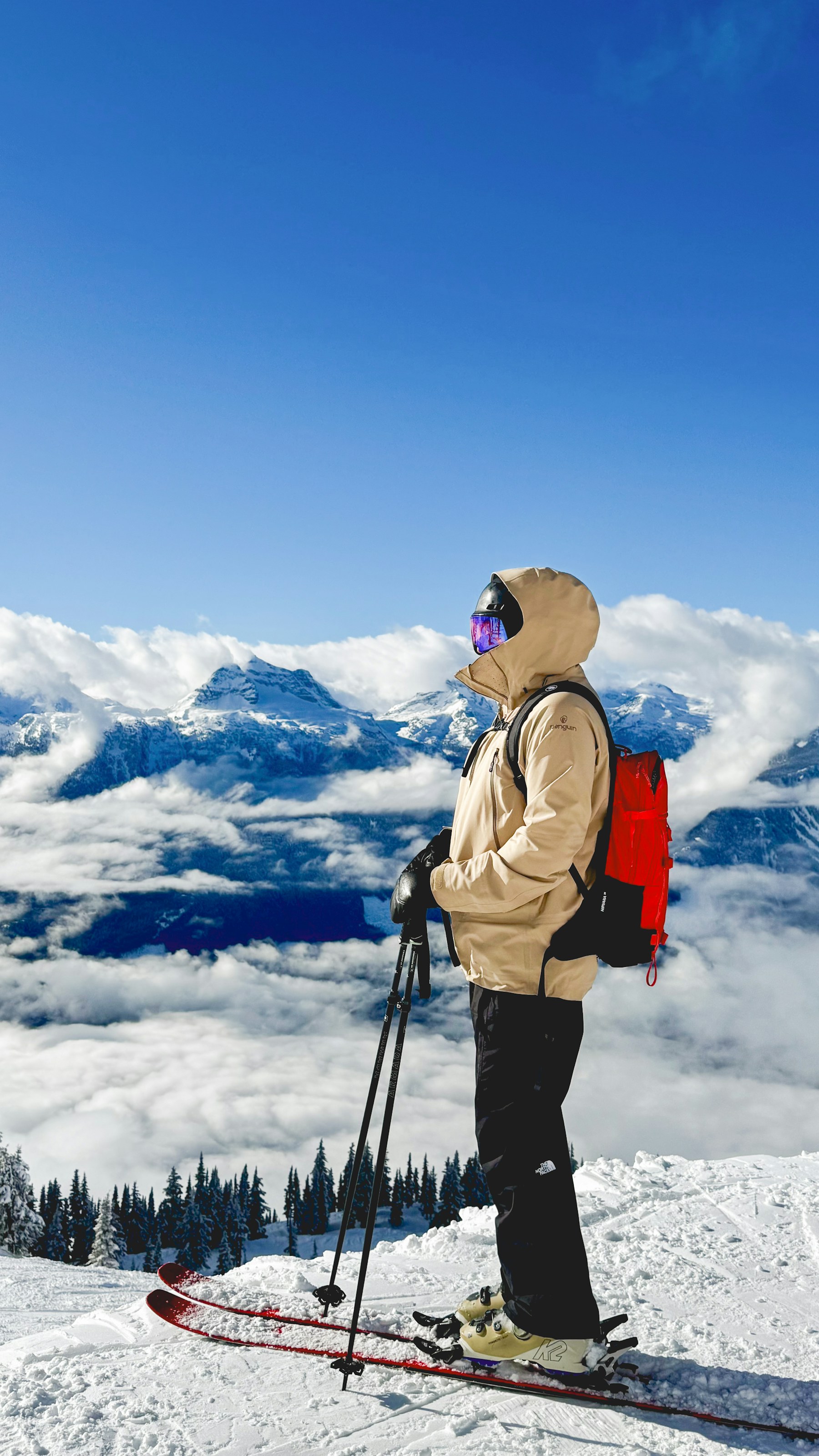 Skier overlooking snow-covered peaks above Revelstoke, British Columbia